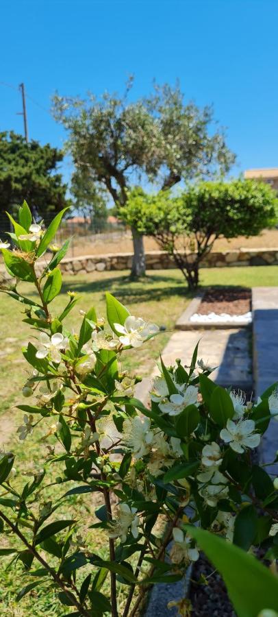 House Castiadas Tra Mare E Montagna Dış mekan fotoğraf